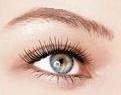 Un oeil